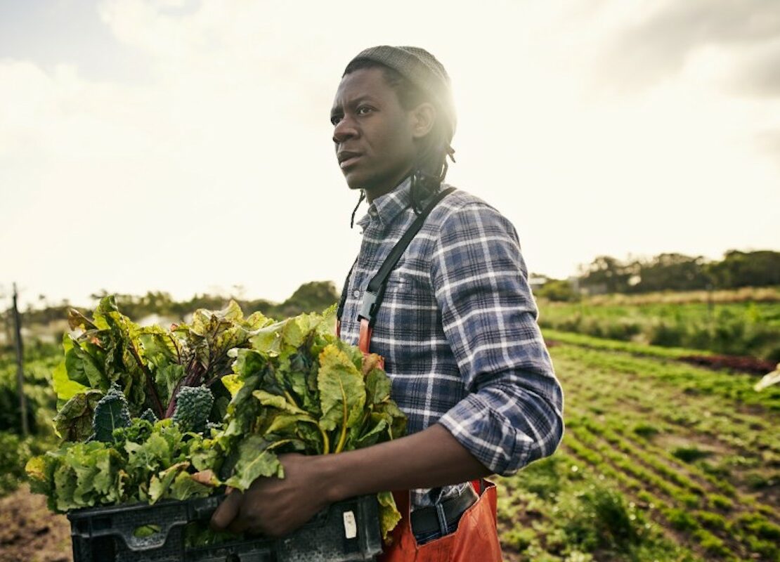 Systemic racism in USDA makes Justice for Black Farmers Act long