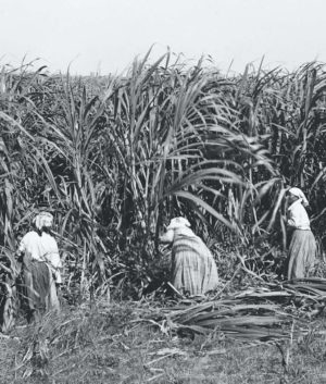 The Thibodaux Massacre Left 60 African-Americans Dead and Spelled the ...