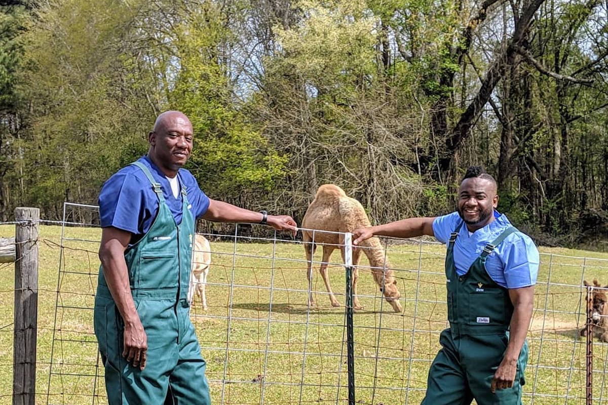 Georgia veterinarians’ show now will premiere March 7 on Nat Geo Wild | AJC.com